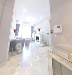 Skyline Residences (D4), Condominium #551317751
